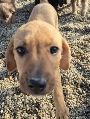 585740956 881927874213713 1843417048571719388 n (1)