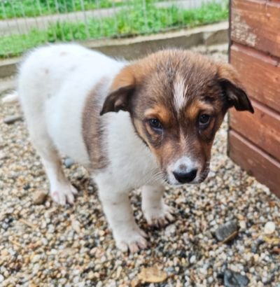 586049976 25273993168907938 1104006954522728230 n