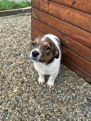 586099447 25273994378907817 8979875707355959013 n