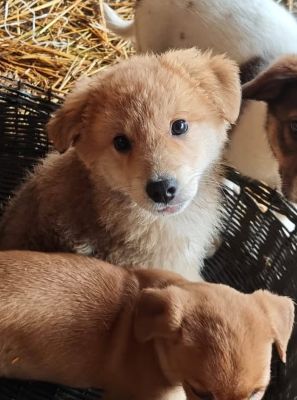 586164150 25274111568896098 9050892419834895558 n