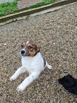 586233956 25273993432241245 6848621586604327288 n