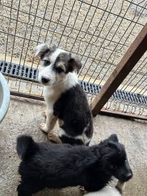 586272199 2111360549397332 2692087653268123416 n