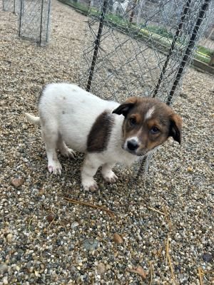 586281786 25273994655574456 8804249784653962573 n