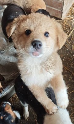 586376303 25274111538896101 6205373881110053889 n