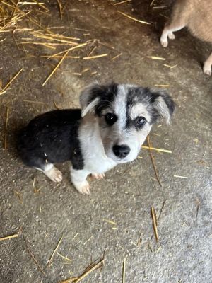 586452356 2111360252730695 6437883556739913208 n