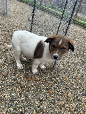 586598757 25273994915574430 8804144766134259894 n