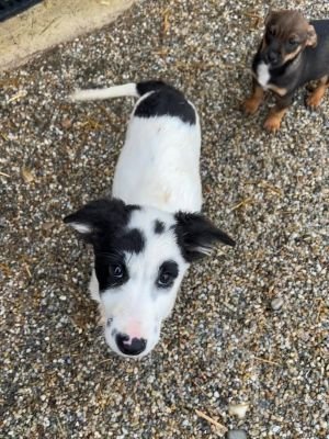 586831969 2111358226064231 1394007166967339528 n