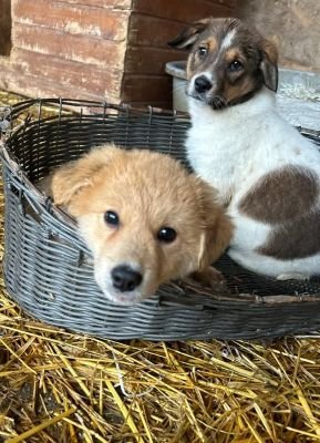 586844085 25274112088896046 6819248244793742852 n