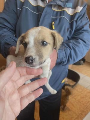 586856648 25305493072424614 3397724337288077995 n