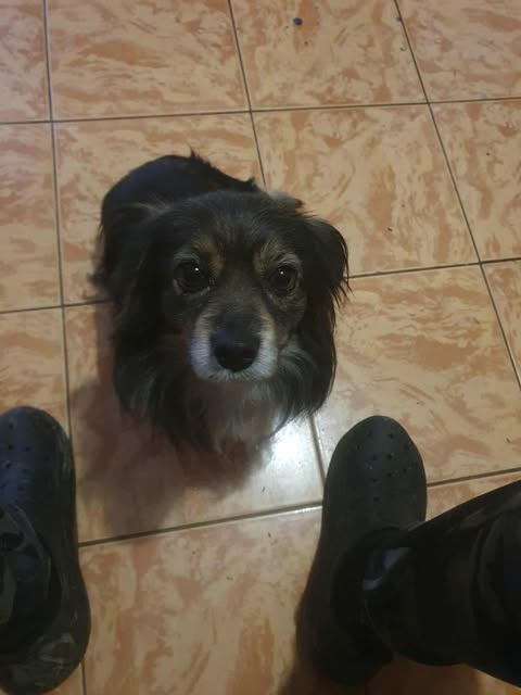 587282966 25328693176771270 1370236490806539926 n