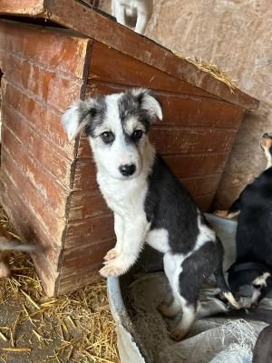 587354721 2111360366064017 6419735976389744528 n