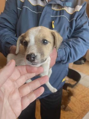 587505319 25305516369088951 4330469841685696559 n