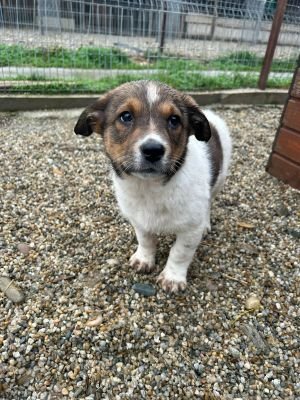 587661848 25273993772241211 2217996543159238525 n