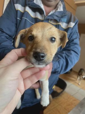 587758726 25305626165744638 8016227515644996625 n