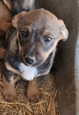 588327980 838876422115138 7069114134720844093 n