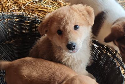 588559528 25274111218896133 5060612627753457221 n