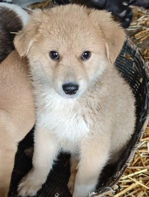 588565715 25274110982229490 5608189915570587124 n