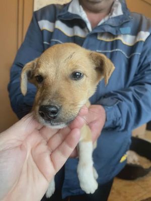 588755870 25305626402411281 2540631903460537298 n