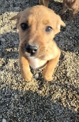 589037451 1384984799906707 9215216773886613922 n