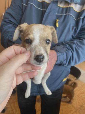 589286398 25305492319091356 7539919324818489245 n