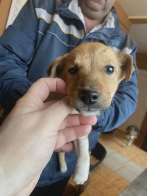 589550285 25305626635744591 1977408687951580927 n