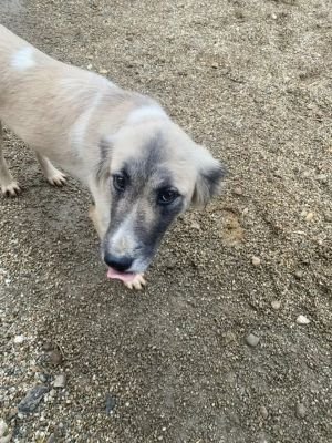 589615656 805221332505520 2511504736649613948 n