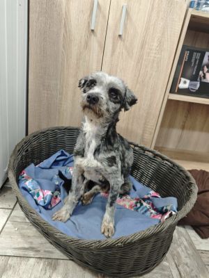 589933672 1296779662212865 3841018751076566411 n