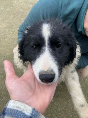 592232233 25182189874764381 5824093246601551097 n