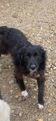 592243140 886709793797346 7617959522015670322 n