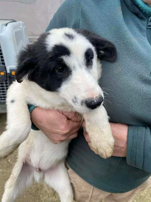 592246822 1868366493792359 6444607131183498534 n