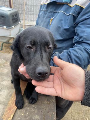 592760828 1112671110792726 5749935139830048891 n