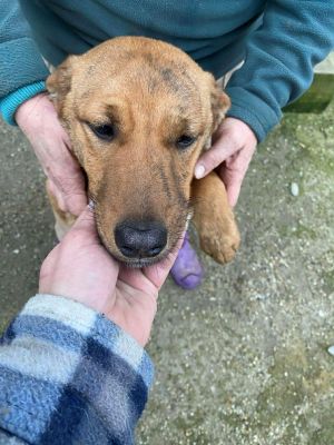 592763924 2305963599831913 1739061747080701241 n