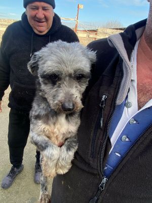 592794968 1627041708746202 580932623585252910 n