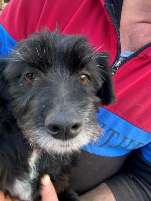 592874615 763520056757646 8146956984433118760 n