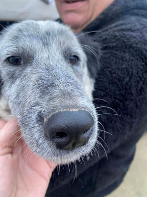 593445833 838532822133876 8254064270477529407 n