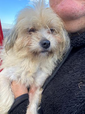 594399175 792485223812676 3250008458887269737 n