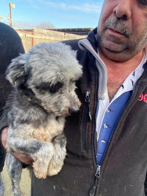 594438905 829759099830000 8598394992403299636 n