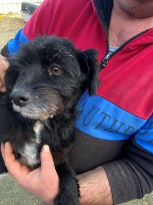 594447697 773489838484654 8644702621304039112 n