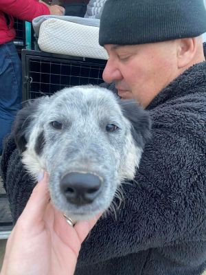 594486037 1549490176282269 8544603528281618874 n