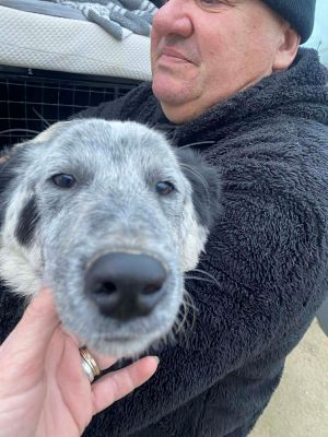 594490723 1570270964173736 3886777529514236164 n