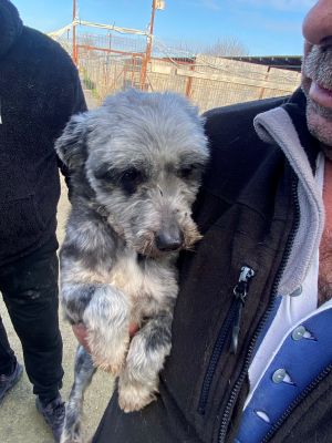 594509744 1147238107489826 510655537483808796 n