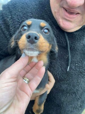 594515272 1959151417991848 2304088199347115632 n