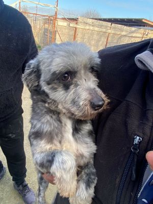 594515274 1166782638859677 4052221794690868810 n