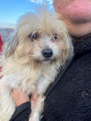 594970198 1528158611810705 2791808442094633211 n