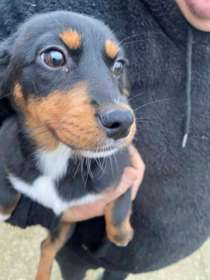 594976480 1944268193102635 4752456163468038299 n