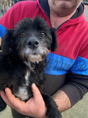 597092186 1476540786748405 1227753926805362364 n