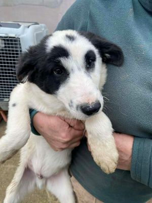 597145380 1554623002441804 6345921200635209121 n