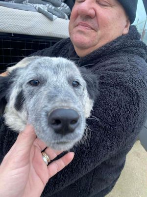 597149910 1908959183343947 6474115203478963155 n