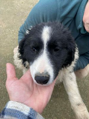 597151620 1196817762377382 7528286320267053678 n