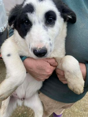 597152530 1768560447141234 4389494840995865932 n